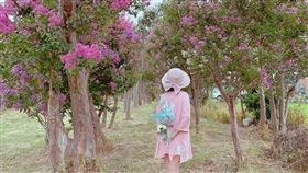 圖／台灣旅行趣