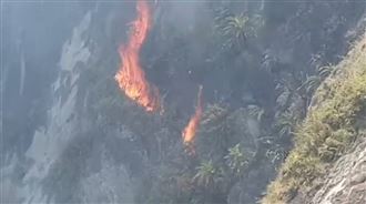 「火攻」蜂窩害燒山　消防員傻眼求援