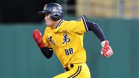  宋晟睿快腿跑上二壘。（圖／中信兄弟提供）