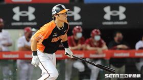 ▲統一獅指定打擊陳鏞基。（圖／記者劉彥池攝影）