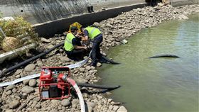 新竹,兵役,棄屍,男嬰,悶死,魚池（圖／翻攝畫面）