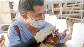 ▲黎明教養院幫助身心障礙者阿忠，從不敢撿蛋(怕被啄)到喜歡抱雞，喜歡照顧雞的喜樂互動，既療癒又有養殖工作技能能自立更生，更減輕家人照顧負擔。（圖／黎明教養院提供）