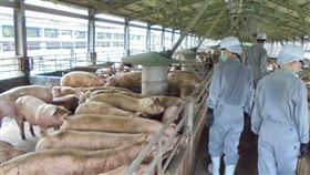  圖／防檢局提供