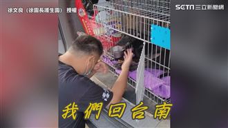 黑犬雙腿癱遭丟棄　他奔波11小時救