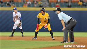 ▲中信兄弟外野手宋晟睿。（圖／記者劉彥池攝影）