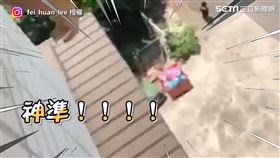 ▲▼。（圖／IG／ 授權）