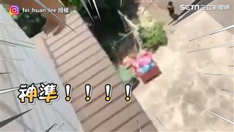 校園丟垃圾高手神準　網：收下我膝蓋