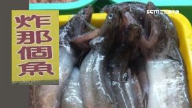 Y就是那個魚1200