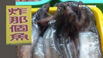 真的有魚叫「那個魚」　想吃碰運氣！