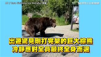 驚見剛打完架的熊　冷靜應對全身而退
