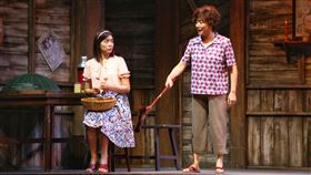 楊麗音。（記者楊澍攝影