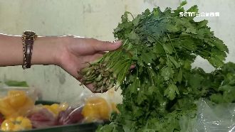 香菜價格直直落！每公斤降到170元