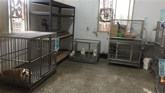 檢警再揪可疑犬舍　30名犬恐安樂死