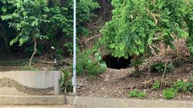 連日豪雨後，蘭潭水庫邊出現一個神秘洞穴。（圖／翻攝自臉書粉專「綠豆嘉義人」）