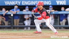 ▲味全龍二壘手李凱威執行觸擊戰術。（圖／記者劉彥池攝影）