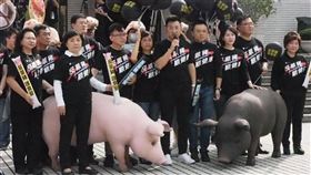美豬,瘦肉精,萊豬,立法院,江啟臣,國民黨,秋鬥 圖／記者林恩如攝影