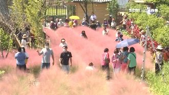 開學前最後假期　南投景點人潮洶湧