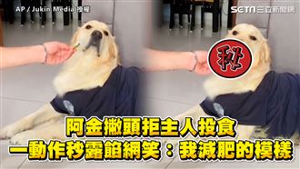 阿金撇頭拒主人投食　因一動作秒露餡