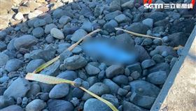 金山海岸,浮屍,礁石