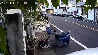 籃子沒風詭異摔飛　揪出真相眾人傻眼