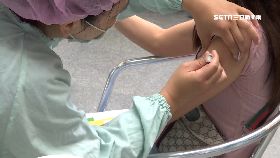 f苗布局明年0700(DL)