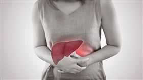 肝臟,脂肪肝,肝癌（圖／翻攝自pixabay）