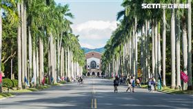 台大／台灣大學／椰林大道（記者陳弋攝影）