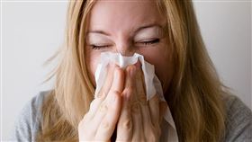 打噴嚏，流鼻水 圖／Pixabay
