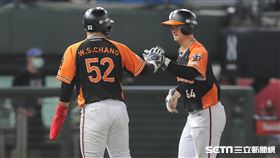 ▲統一獅二壘手林靖凱回本壘得分和隊友張偉聖擊掌。（圖／記者劉彥池攝影）