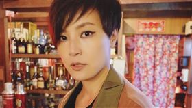 何韻詩演唱會被取消。（圖／翻攝自何韻詩臉書）