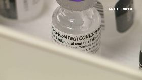 文 BNT四天王1200.