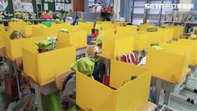 圖／大佳國小提供,中午隔板用餐