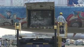 BNT抵台機場畫面直擊！陳時中舉牌感謝　最快9月中開打