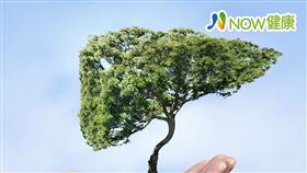 名家專用／NOW健康／新興一線標靶藥物，僅需每天口服一次，治療反應較佳且臨床發現副作用發生率也低，適合年長肝癌病患。(勿用)