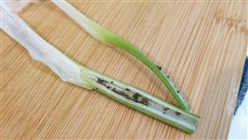 網友切開蔥看到裡頭有多個像蟲卵的黑色小顆粒。（圖／翻攝自臉書「我愛全聯-好物老實説」）