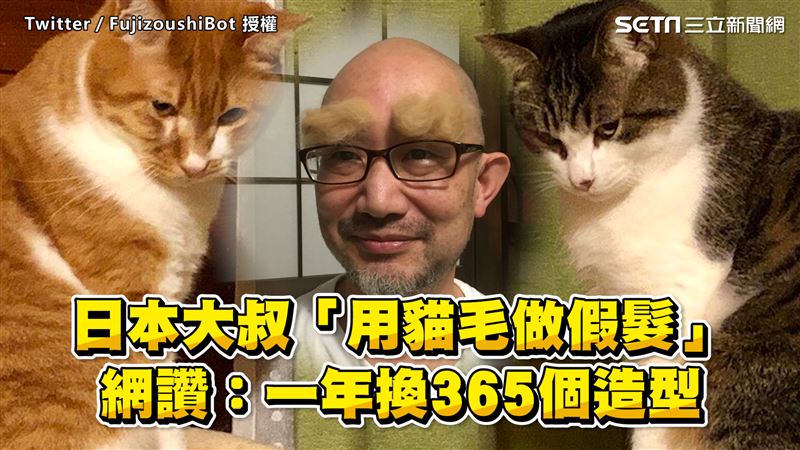 日大叔用貓毛做假髮　網友狂讚全笑瘋