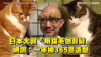 日大叔用貓毛做假髮　網友狂讚全笑瘋