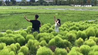 國旅平日住宿補助上路！222萬人搶登記