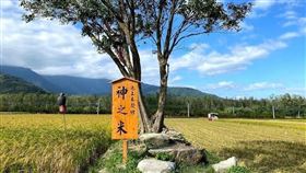 神之鄉／魏瑞廷授權提供