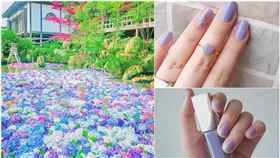 名家專用／LOOKin美人時髦話題網／翻攝自Instagram@sweetbkaori、ftcnami、nicetooth_