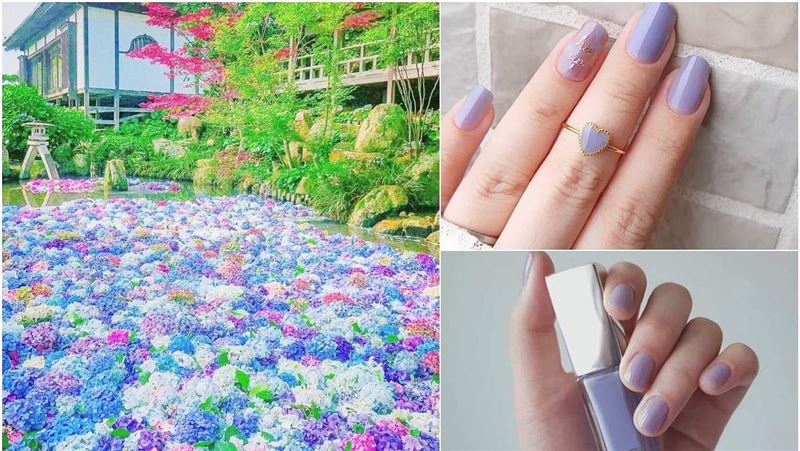 顯白推薦色選「薄淡紫陽花」指甲油！