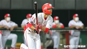 ▲味全龍游擊手張政禹。（圖／記者劉彥池攝影）