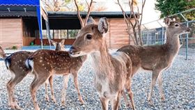 圖／台灣旅行趣