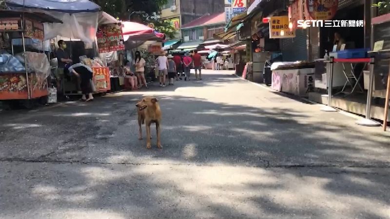 [圖]