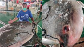 臉書社團「東石之美」