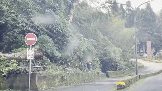 溪頭遊客走「逃票路線」　濕滑多摔傷