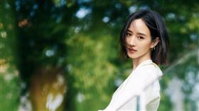 張鈞甯坦言想在40歲結婚。（圖／翻攝自張鈞甯微博）