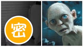 竹北,民宅,竊案,咕嚕,（圖／竹北市民代表蔡蕥鍹提供）