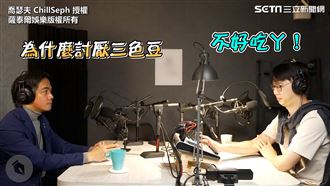 三色豆分析人際！每個團隊都需要青豆