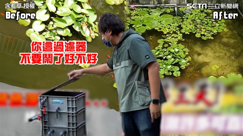魚池綠到爆！他出手3天後曝驚人成果